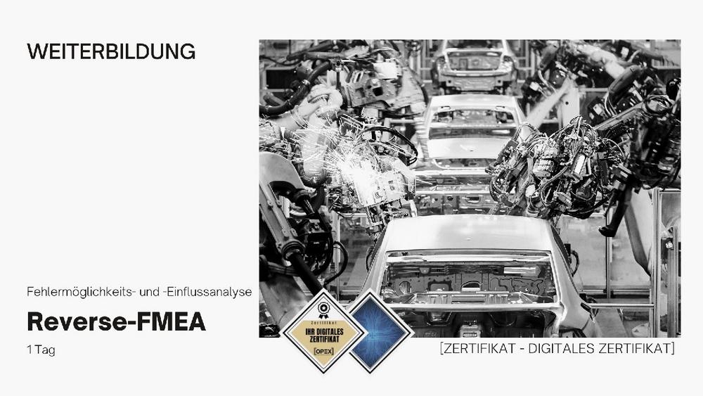 Reverse-FMEA Seminar | Schulung (Seminar | Online)