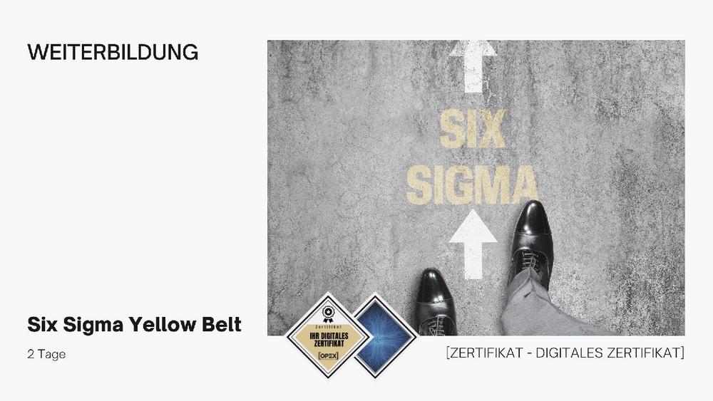 Six Sigma Yellow Belt Training | Seminar | Ausbildung (Seminar | Wien)